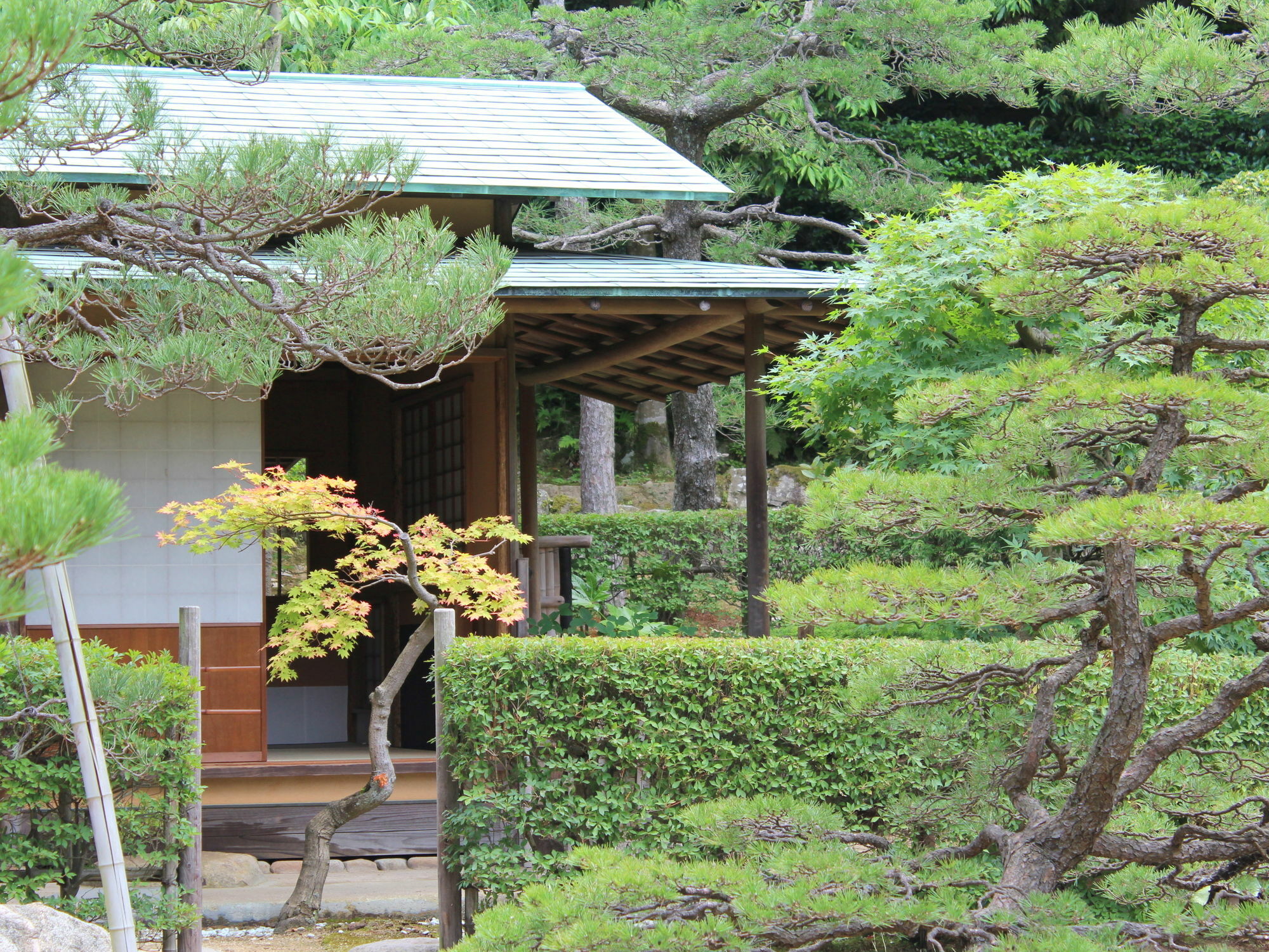 Hotel Gyokusen Matsue Eksteriør bilde